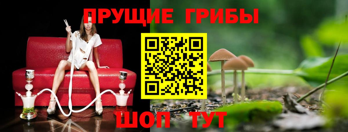 Анжеро-Судженск  Галлюциногенные грибы мицелий  Галлюциногенные грибы ЛСД  Вход с VPN 